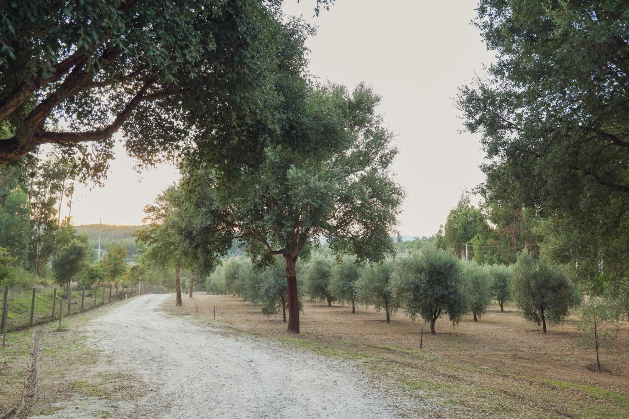 I Love Dao Casas Da Fraga Vendégház São Gemil Kültér fotó