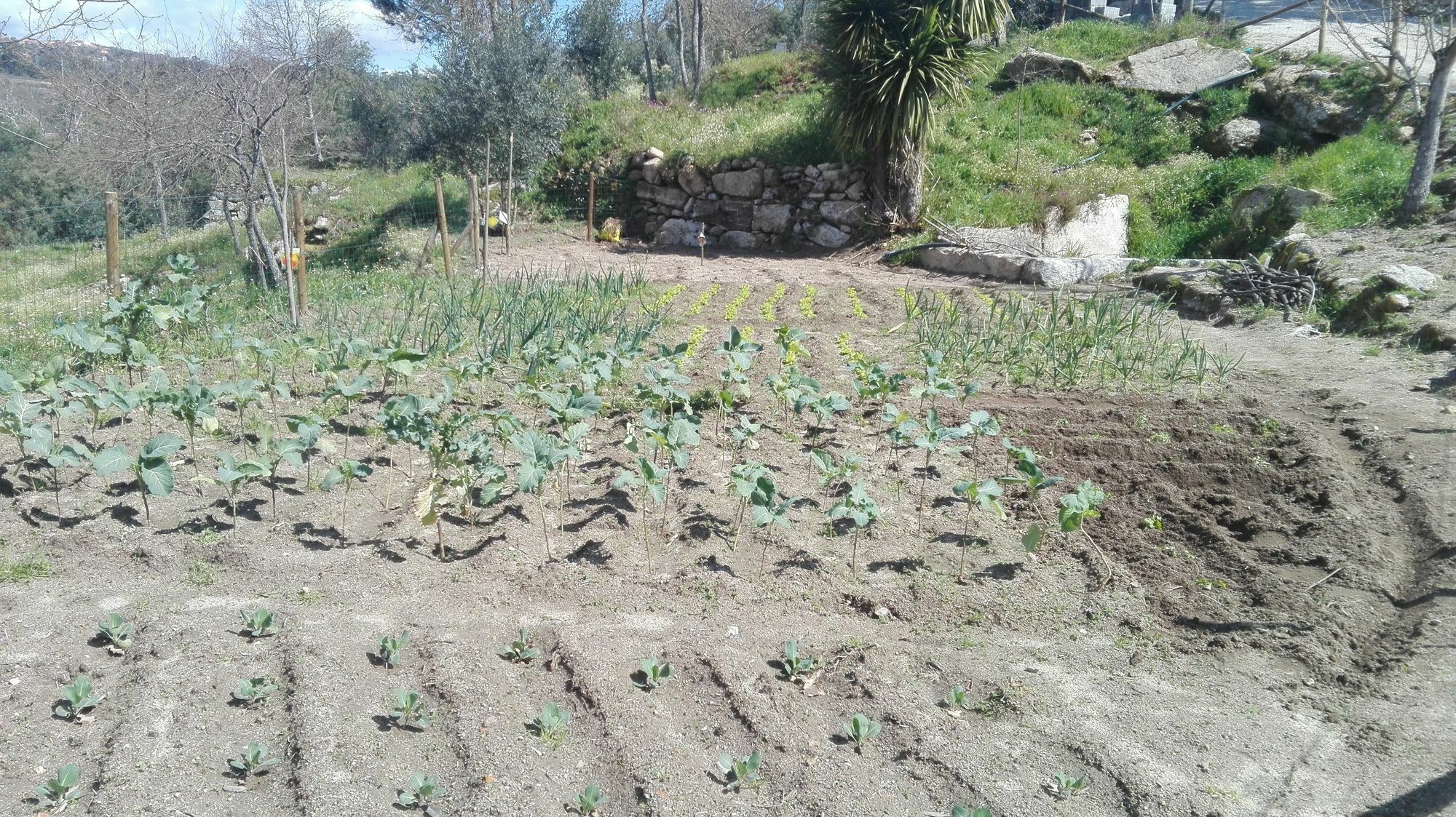 I Love Dao Casas Da Fraga Vendégház São Gemil Kültér fotó